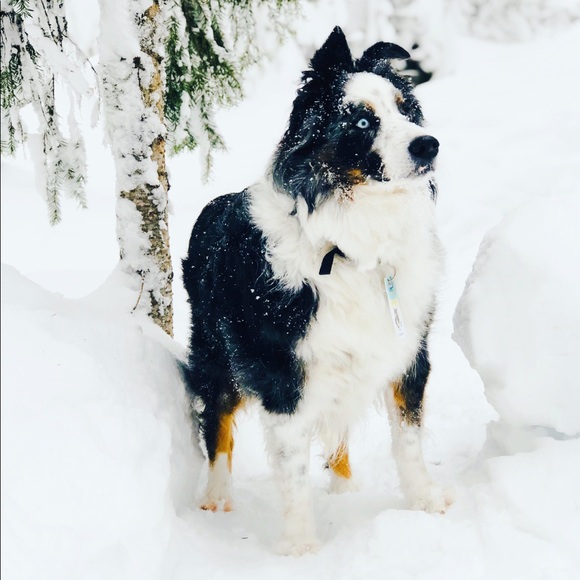 Meet your Posher, Tarynn - Picture 6 of 8